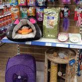 Buy Cat Toys